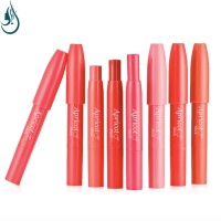 Makeup factory  Private Label Crayon Lipstick Bright Colored Long Lasting waterproof  Crayon lips stick